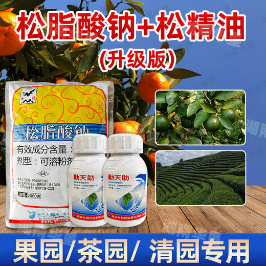 松脂酸钠（升级版）+松精油果园茶园清园专用 商品图1