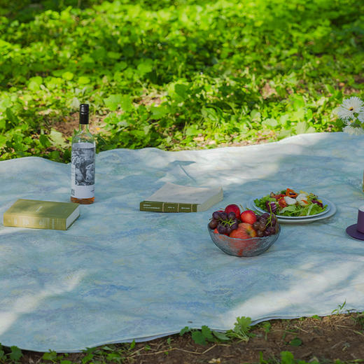 春意系列野餐垫防潮垫便携加厚草地春游草坪轻便秋游高级感棉 商品图3