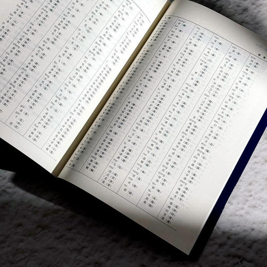 现代汉语 第三版 徐菁 徐越 现代汉语专业基础课教材 基本理论 商品图11