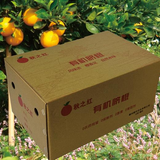 丨有机丨赣南脐橙 橙子 guo家地理标志 中国农大学子18年精心培育而来 商品图13