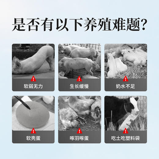 华畜钙磷十八补兽用钙磷多维十八补微量元素猪牛羊鸡钙粉异食吃土 商品图2