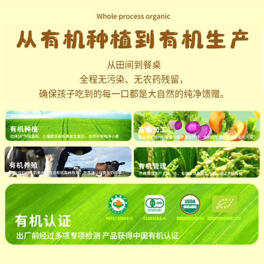 九洲丰园 有机儿童牛肉时蔬小水饺 168g袋装 商品图5