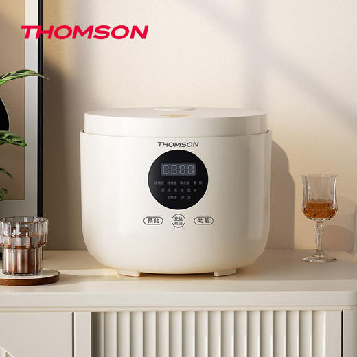 【分仓直发包邮】汤姆逊电饭锅C-T0530 商品图2