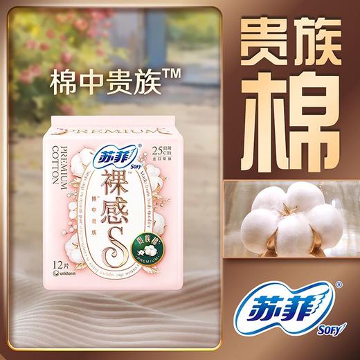 苏菲12片250mm裸感S贵族系列日用卫生巾 商品图0