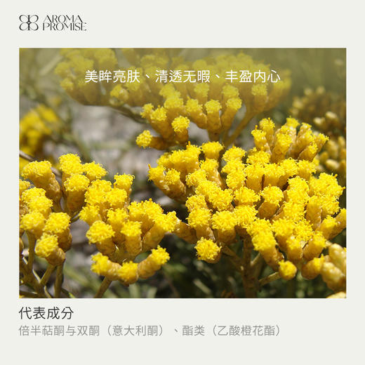 意大利永久花 单方精油5ml 商品图1