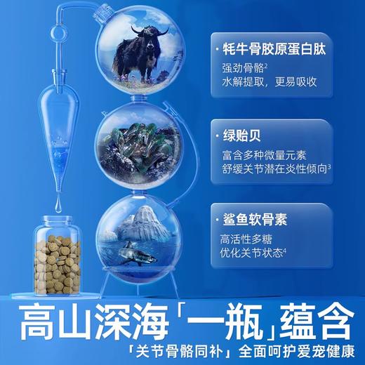 vetwish唯特适宠物鲨鱼软骨素保护关节润骨修复预防健骨猫狗补钙 商品图2