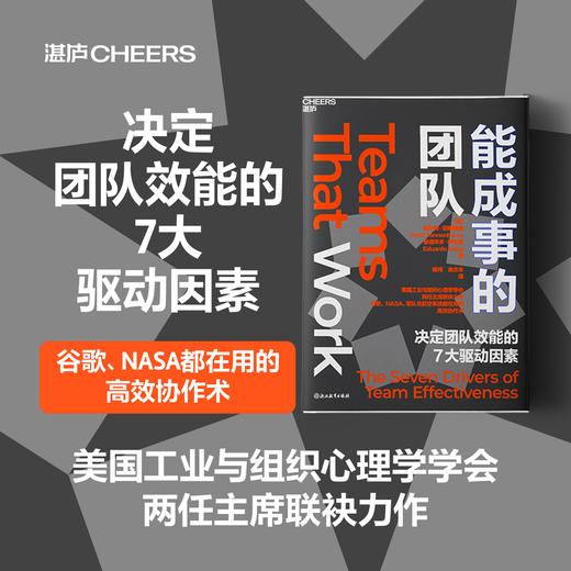 能成事的团队  决定团队效能的7大驱动因素 商品图0