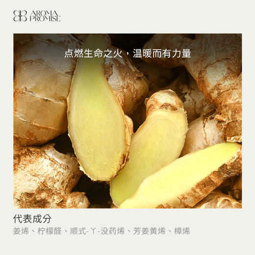 姜精油10ml 二氧化碳超临界萃取 辛辣带甜 如冬日暖阳激励温暖身体 商品图1
