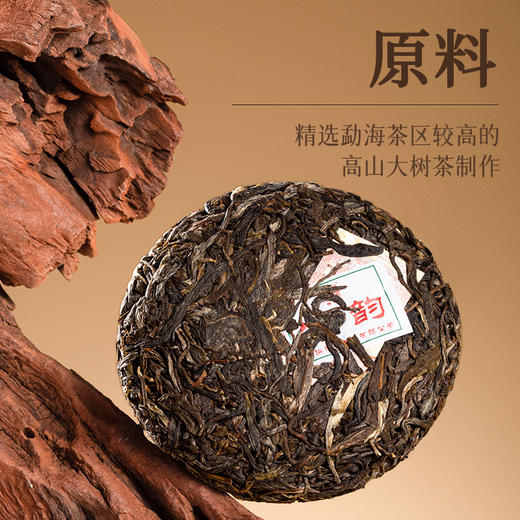 陈升号 2023年生韵100g（生茶） 商品图1
