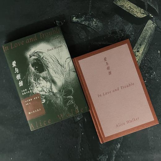 爱与烦恼 电影《好东西》同款 外国文学小说书籍 后浪正版 商品图1