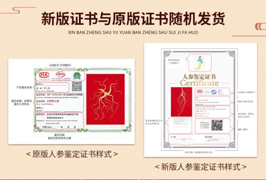 【长白山人参】野山参开窗礼盒50g 商品图4