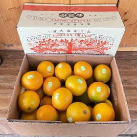 【特级】云冠橙特级5kg/件