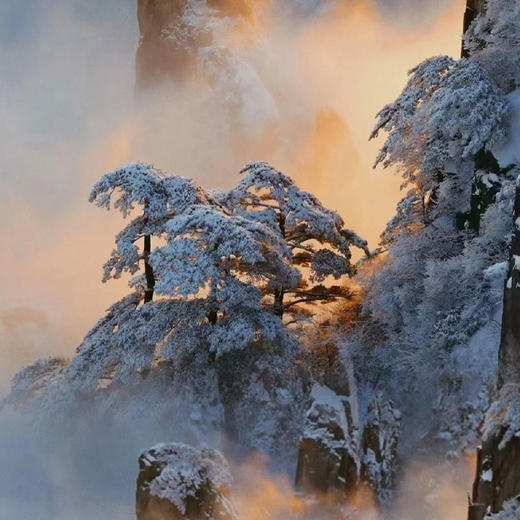 寒假亲子丨带着萌娃探徽州5天4晚 商品图11