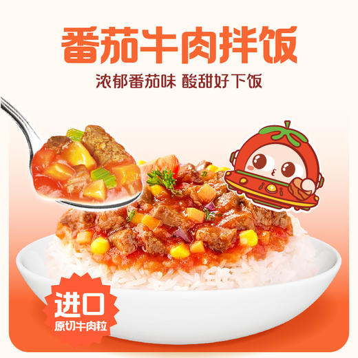 怡芽 冲泡米饭（台式卤肉/番茄牛肉）6杯装 173g*6 商品图0