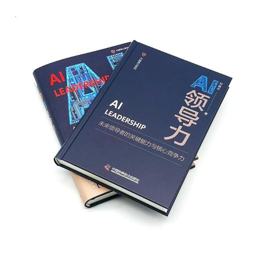AI领导力 商品图2