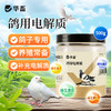 华畜鸽用电解质鸟用多维葡萄糖鹦鹉鸽子营养补钙新鸟用品画眉 商品缩略图0