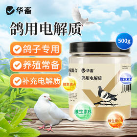 华畜鸽用电解质鸟用多维葡萄糖鹦鹉鸽子营养补钙新鸟用品画眉
