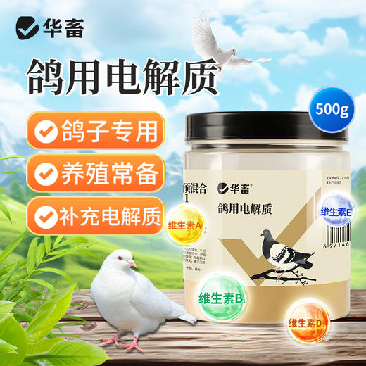 华畜鸽用电解质鸟用多维葡萄糖鹦鹉鸽子营养补钙新鸟用品画眉 商品图0