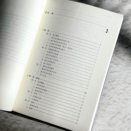 现代汉语 第三版 徐菁 徐越 现代汉语专业基础课教材 基本理论 商品图7