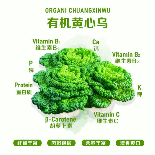 暖壹有机黄心乌 商品图1