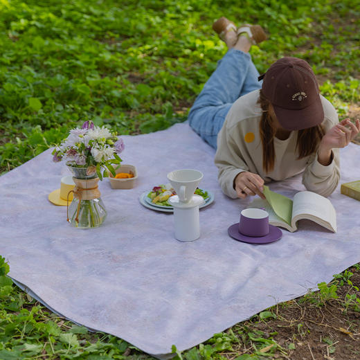 春意系列野餐垫防潮垫便携加厚草地春游草坪轻便秋游高级感棉 商品图0