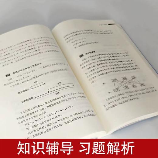 小学数学宝典：小学中高年级学生学好数学的指南 商品图3