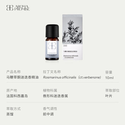 马鞭草酮迷迭香精油10ml 清透略带甜味 帮助记忆和提升专注力 商品图2