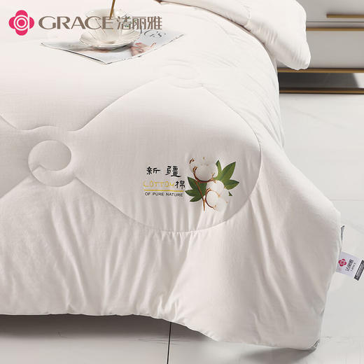 【分仓直发包邮】洁丽雅Grace云朵棉花被JLY- YHE209 商品图0