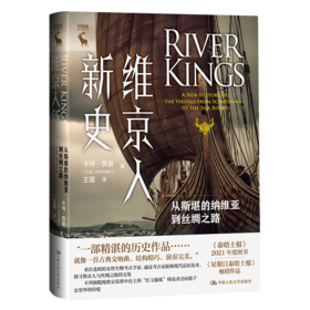 维京人新史：从斯堪的纳维亚到丝绸之路