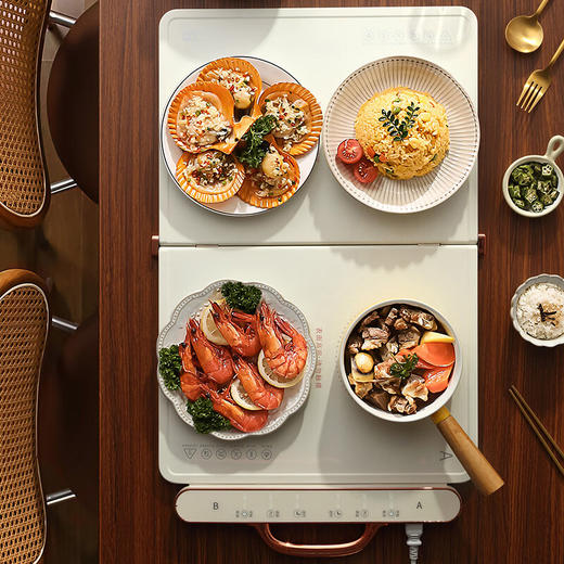 【分仓直发包邮】西屋Westinghouse-折叠暖菜板WCB360B 商品图4