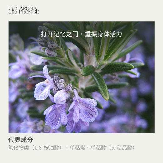 桉油醇迷迭香精油10ml 强劲略带樟脑味道的药草气息 商品图2