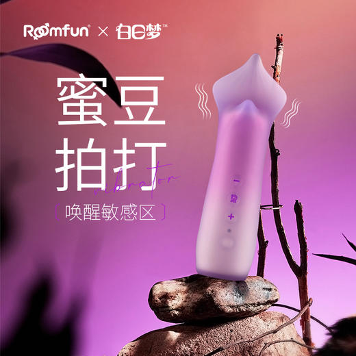 roomfun房趣 梦叶 震潮棒 全自动打豆器 商品图0
