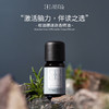 桉油醇迷迭香精油10ml 强劲略带樟脑味道的药草气息 商品缩略图1