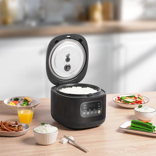 【分仓直发包邮】爱仕达福特米香电饭煲AR-F40E928 商品图1