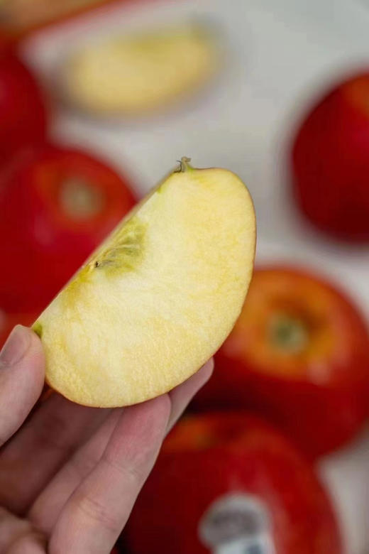 美国爱妃Envy🍎苹果——“Envy”让人嫉妒的苹果，不仅有高颜值，口感同样清脆香甜，女神的最爱 商品图6