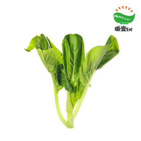 暖壹有机菜心