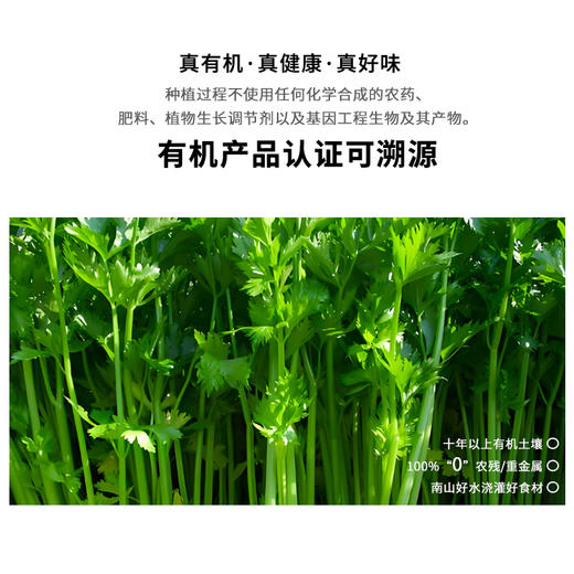 暖壹有机芹菜 商品图1