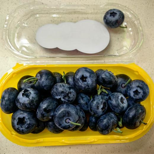 【迷迭蓝蓝莓】·迷迭兰24+ 商品图1