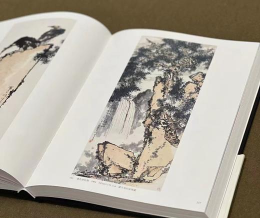 《潘天寿书画集》（纪念版），潘公凯 主编，布面精装，8 开，504页，仅印500册，浙江人民美术出版社2024年二印。定价680，售价544
  商品图8