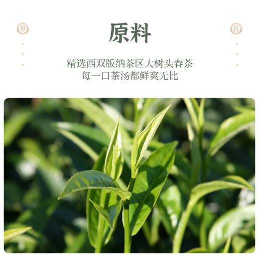 陈升号 2021年梦真357g（生茶） 商品图1