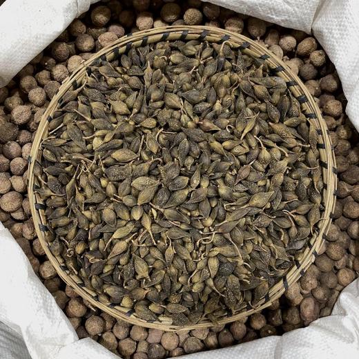 连翘 连青翘 破壳少常用规格 商品图1