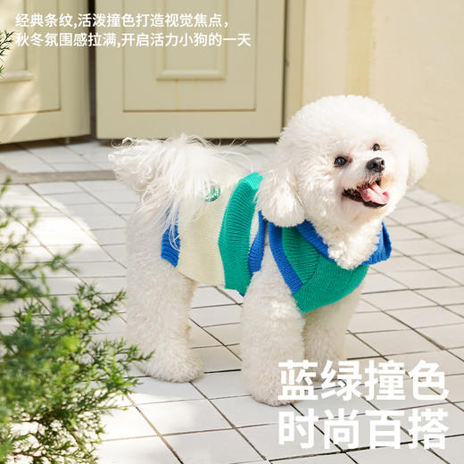 zeze条纹宠物连帽针织衫-B 商品图4