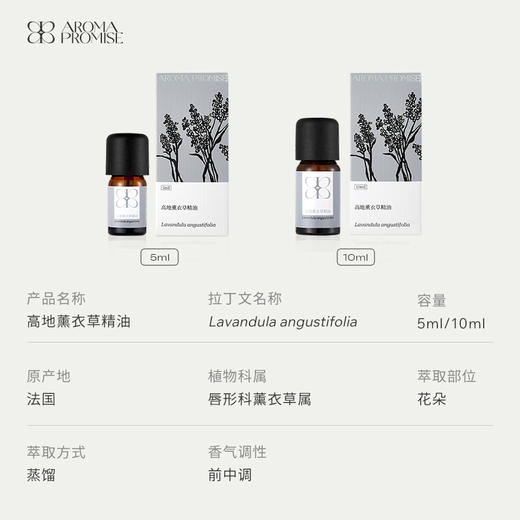 高地薰衣草精油 “梦境的守护者 商品图2
