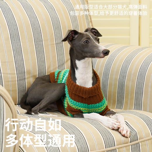 zeze复古条纹宠物针织衫-B 商品图4