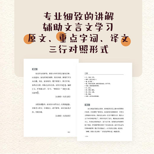 了不起的中国童话：趣学*文言文 小学生文言文阅读 小学语文 中国古典 中华典籍 古文 山海经 庄子 搜神记 中国童话 商品图1