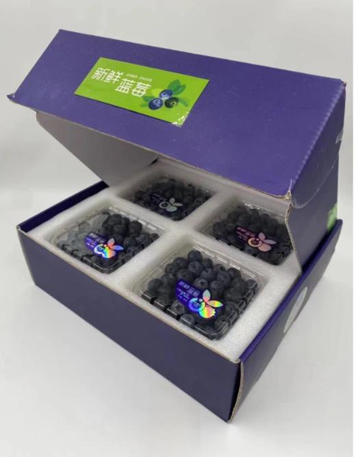 【产地直发】云南花香甜脆L25蓝莓新鲜采摘大颗 香甜味足 商品图9