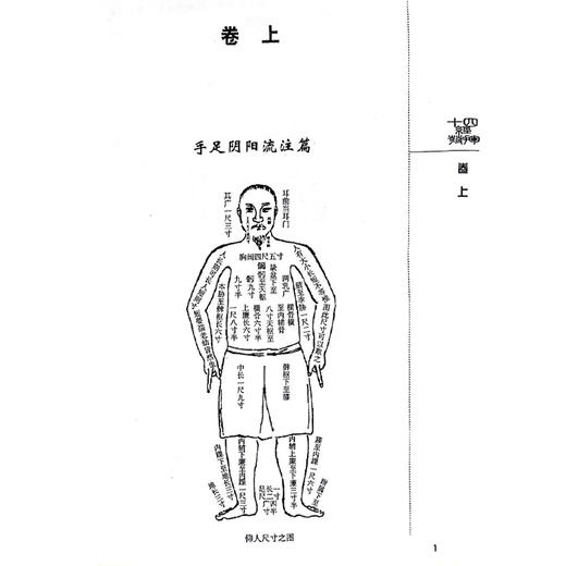 十四经发挥—中医非物质文化遗产临床经典读本 元滑寿著十二经脉和督脉任脉之脏腑机能中医针灸经络经脉腧穴学专著9787506745901 中国医药科技出版社 商品图4