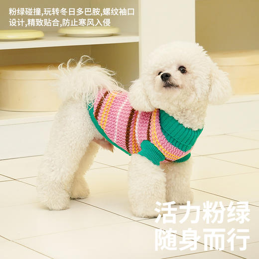 zeze复古条纹宠物针织衫-B 商品图2