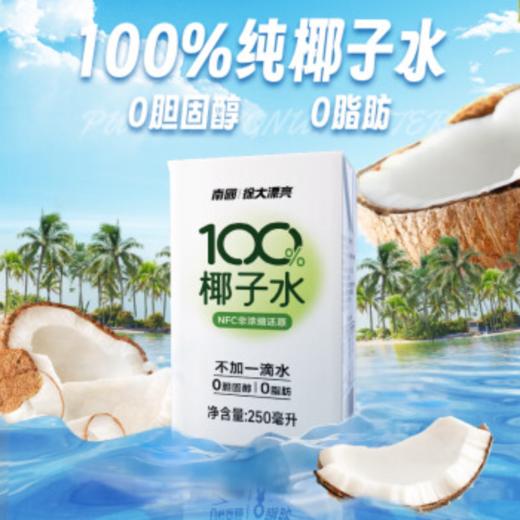 DH 南国250ml椰子水 250ml*6瓶   商品图4