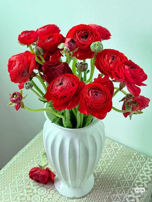 洋牡丹各色点开挑色 商品图1